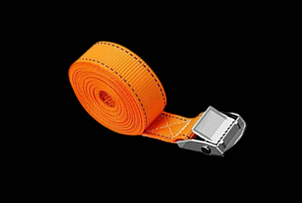 Cam Buckle